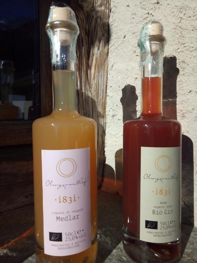 圣马蒂诺Obergereuth Hof 2021公寓 外观 照片